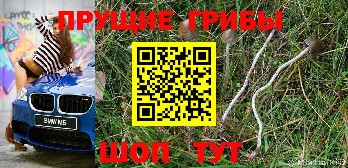 Псилоцибиновые грибы ЛСД  Вход с VPN  Городец  Галлюциногенные грибы GOLDEN TEACHER 